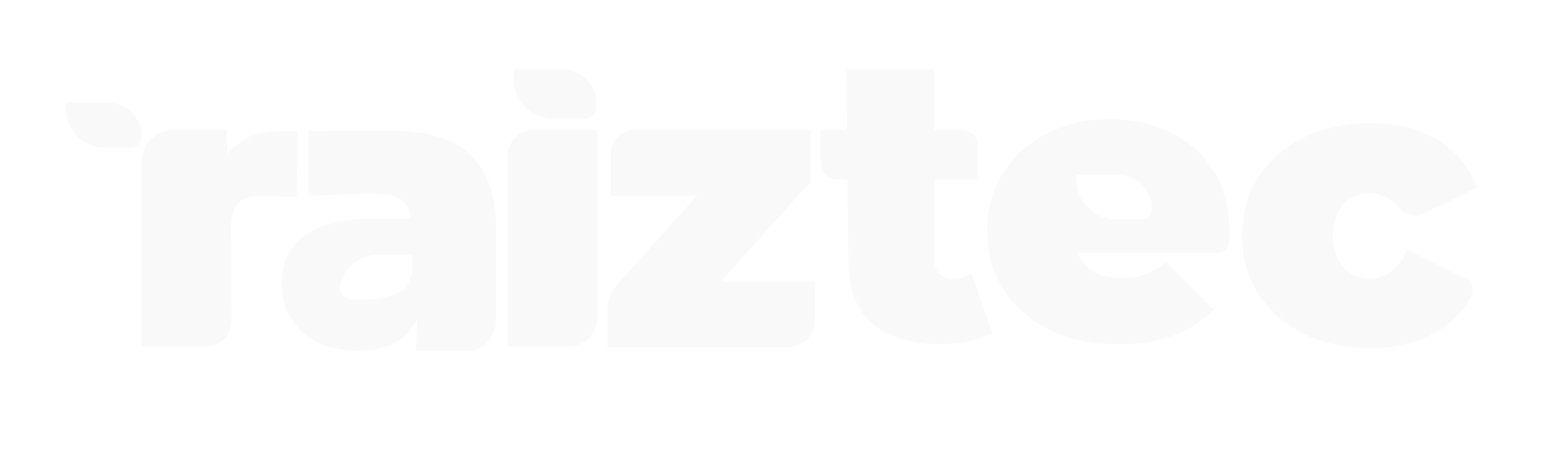 raiztec